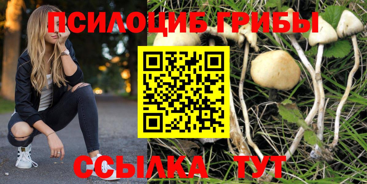 Рыбинск  Галлюциногенные грибы мухоморы  Вход с VPN 