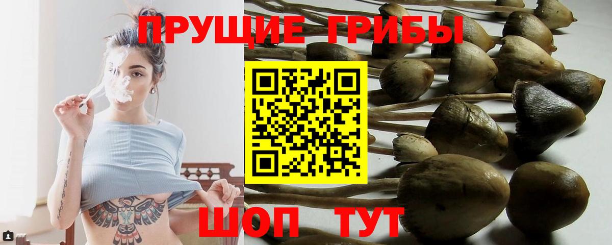 Галлюциногенные грибы мицелий Рыбинск